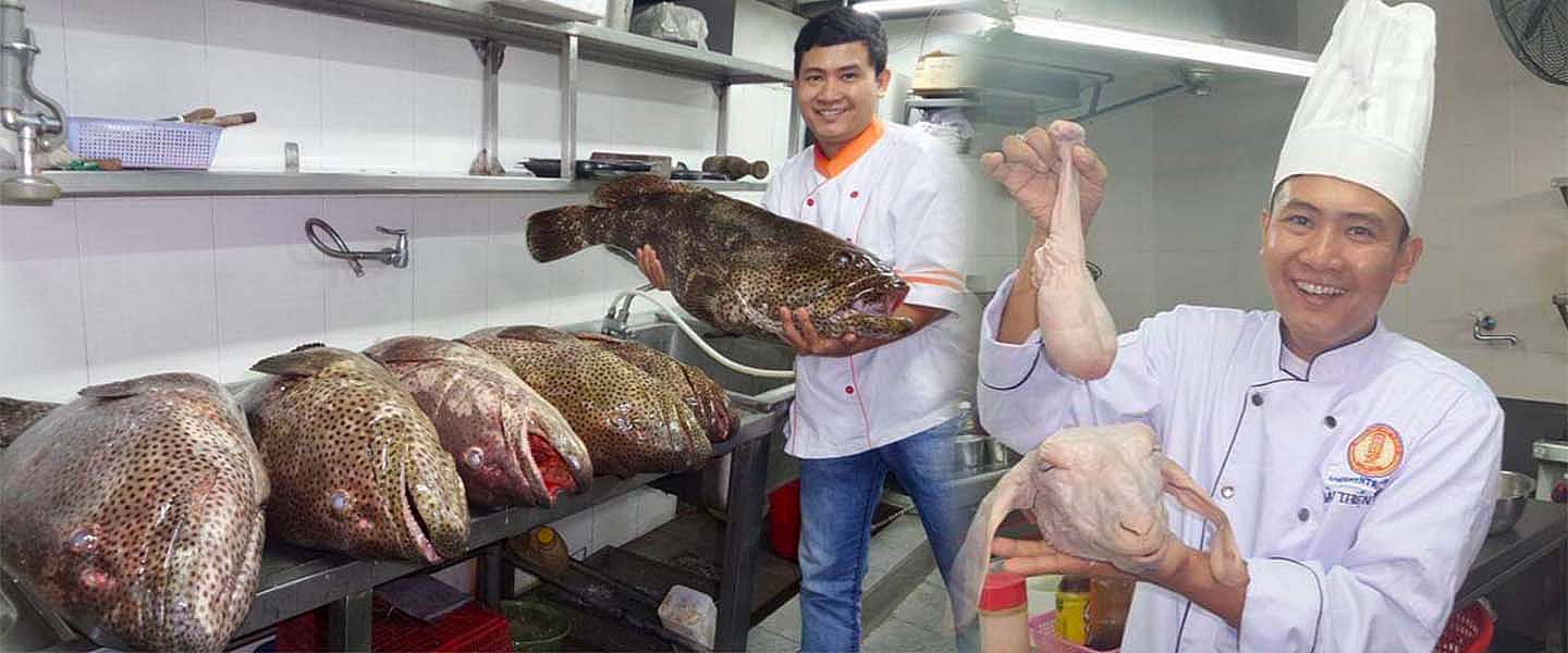 CÁ MÚ ĐẾN THIÊN NHIÊN, Dê sòm