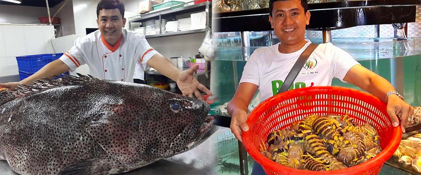 Cá Mú Thông, Tôm Tích Vàng